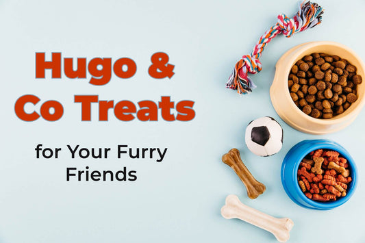 High quality treats for your dog