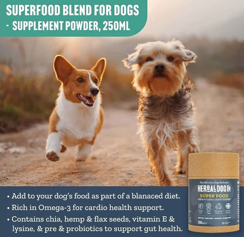 Herbal dog co - Superfood supplement powder