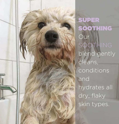 Medicated shampoo for dogs