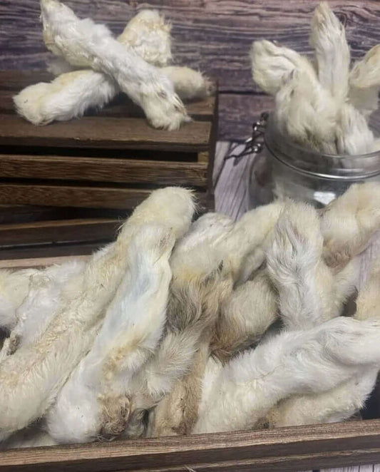 Rabbit foot with fur for dogs