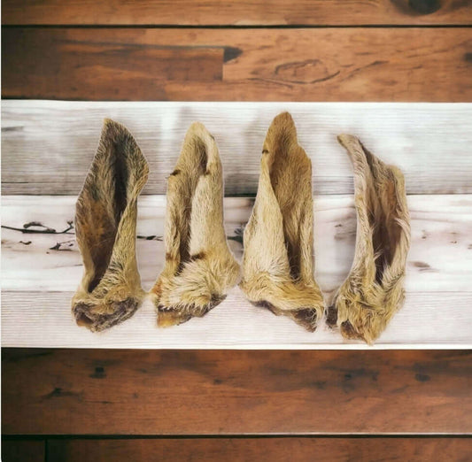 Lamb ear with fur for dogs