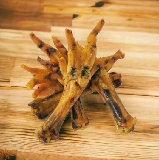 Chicken feet for dogs good joint supplement 